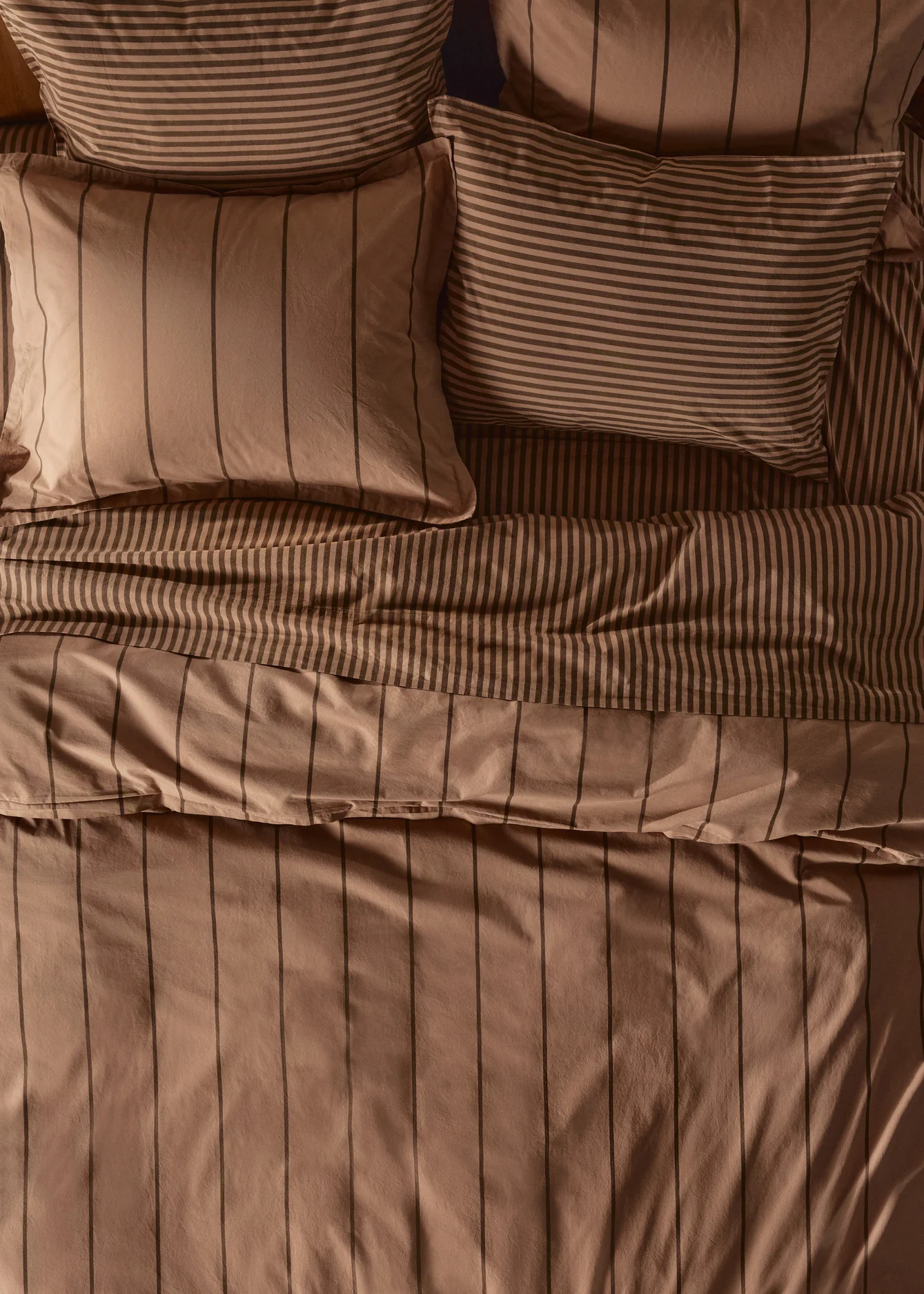Percale Bundle - Adobe Stripe TW/XL - Image 4